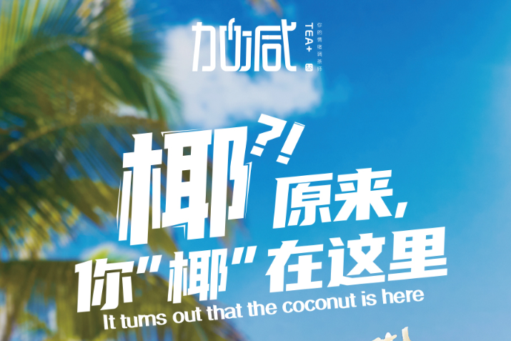 凤凰联盟椰子系列新品火爆上市